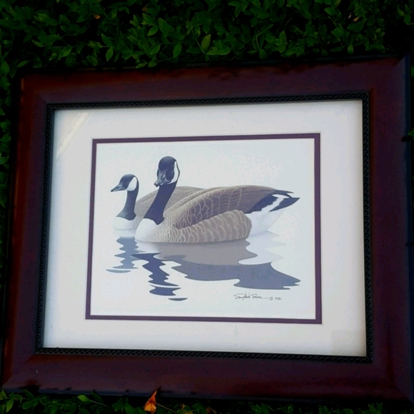 1980 Richard Sloan Canada Geese Framed Print - Picture 6 of 7